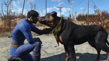 Новая модификация для Fallout 4 позволяет гладить любую собаку Пустоши