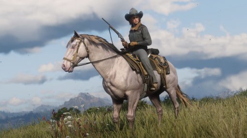 Баг превратил кобылу в жеребца в Red Dead Online