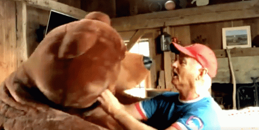 Билл Мюррей спел бейсбольный гимн вместе с огромным плюшевым медведем