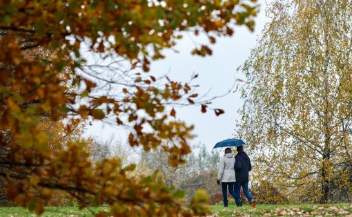 Россияне назвали занятия для идеального выходного