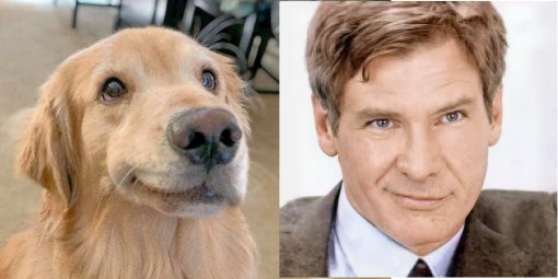 От Тириона до Харрисона Форда: в сети показывают собак, которые похожи на героев кино и актеров