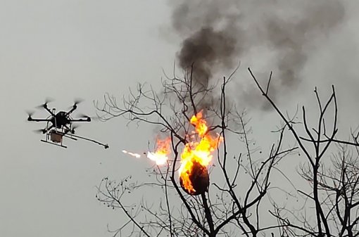 Китайцы используют дронов с огнеметами для уничтожения осиных гнезд