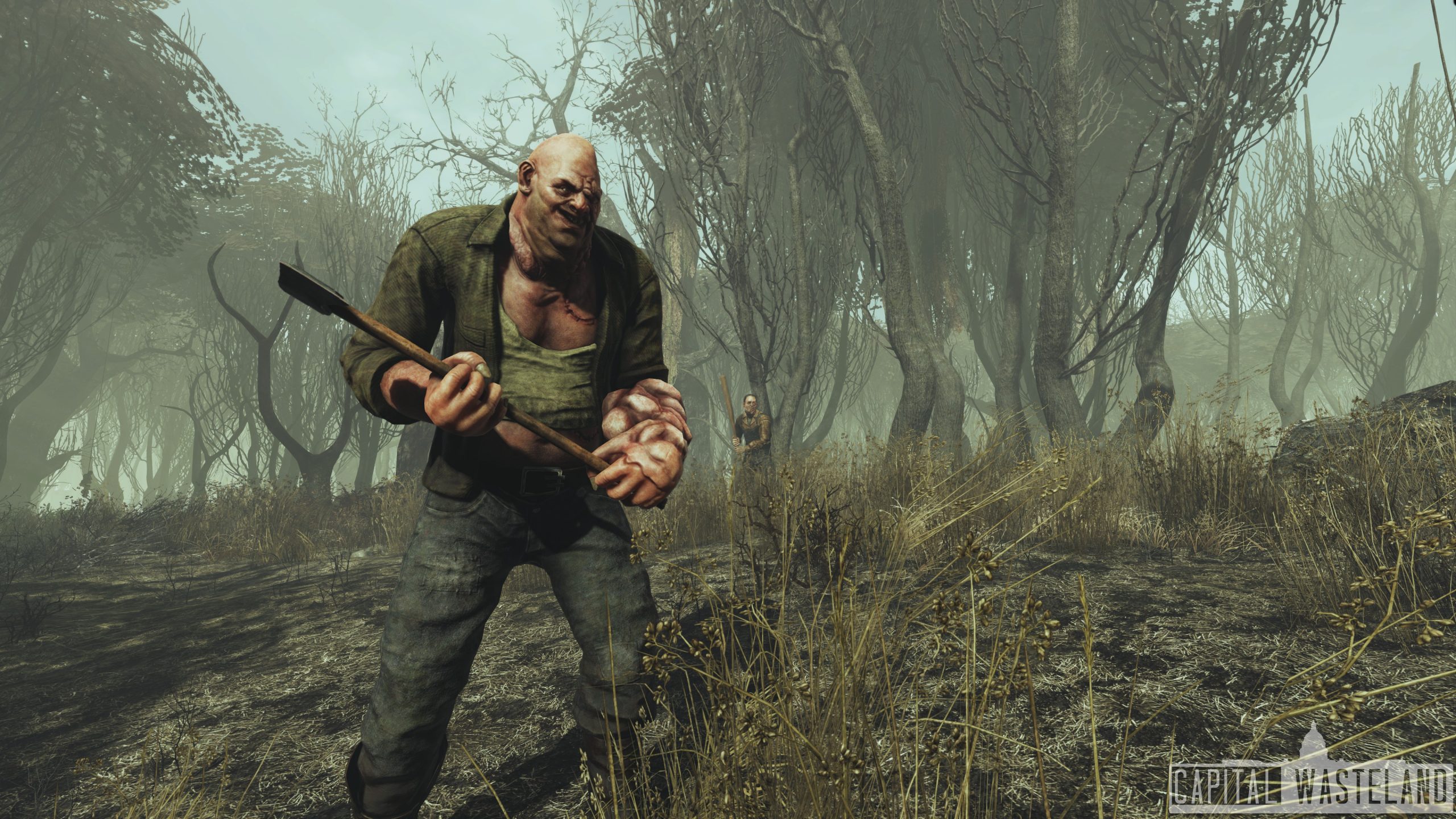 Скриншоты модификации Fallout 4: Capital Wasteland