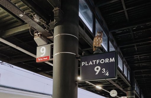 На петербургском вокзале появилась платформа 9 ¾ по мотивам «Гарри Поттера»